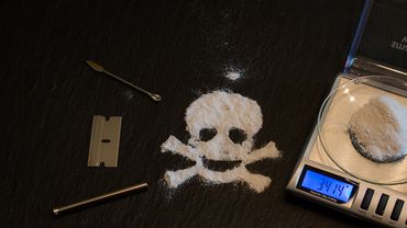Во время пандемии сильно выросла торговля кокаином - Европол