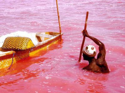 Ярко–розовое озеро - Наука и здоровье