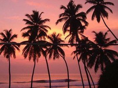 Житель Шри-Ланки похоронил себя заживо в надежде на мировой рекорд

                                 - Хобби, отдых и развлечения