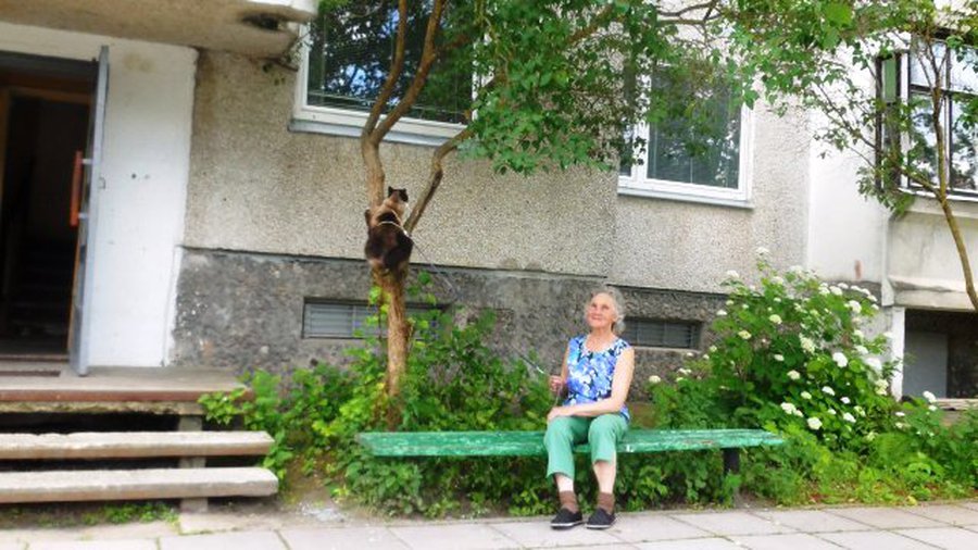 Фоторепортаж: Город, в котором мы живем - В Висагинасе