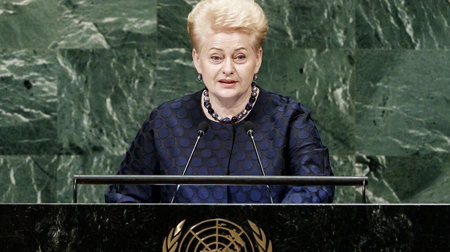 В Нью-Йорке состоялась встреча Д. Грибаускайте с М. Помпео - В Мире