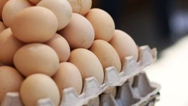 Wall Street Journal: цены на яйца в Европе взлетели на 76%

                                                                
