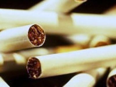 Сигареты популярных марок кишат опасными бактериями - Наука и здоровье