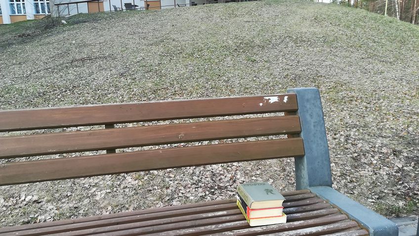 Где мини-библиотечка? Принесенные книги люди вынуждены оставлять на скамейке