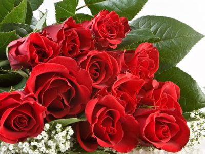 Сергея Сазоненкова – с Юбилеем! - Поздравления