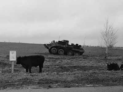 Aleksandro Gliadelovo fotografijų paroda „Karas Ukrainoje. 2022 metai“ Visagine - Visagine