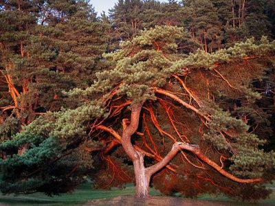 Не пропустите «Ускользающие мгновения» - Культурные и спортивные мероприятия