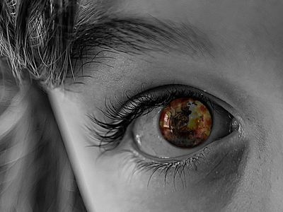 В Расейняйский район прибыли семьи 14 эвакуированных афганцев - В Мире