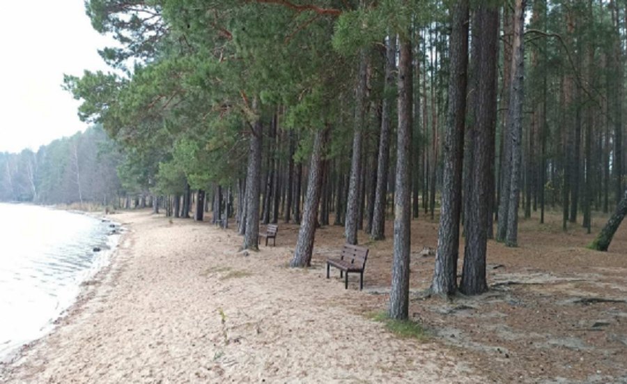 Представление общественности проекта лесоустройства - В Висагинасе