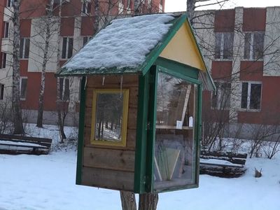 Будут ли в Висагинасе восстановлены уличные библиотечки? (видео) - В Висагинасе