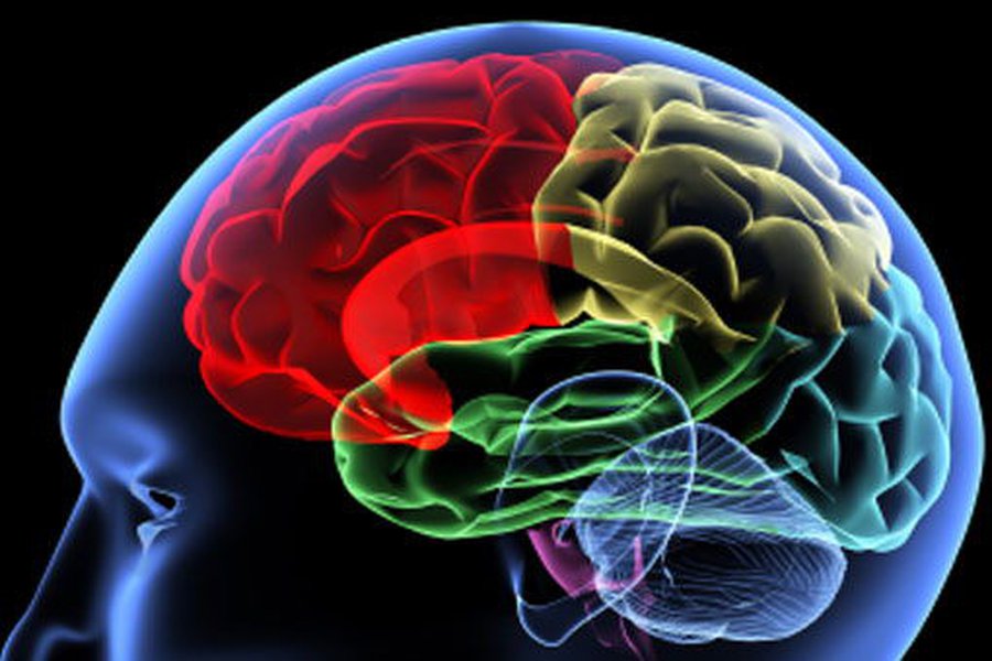 Интеллектуальные игры признали бесполезными - Наука и здоровье