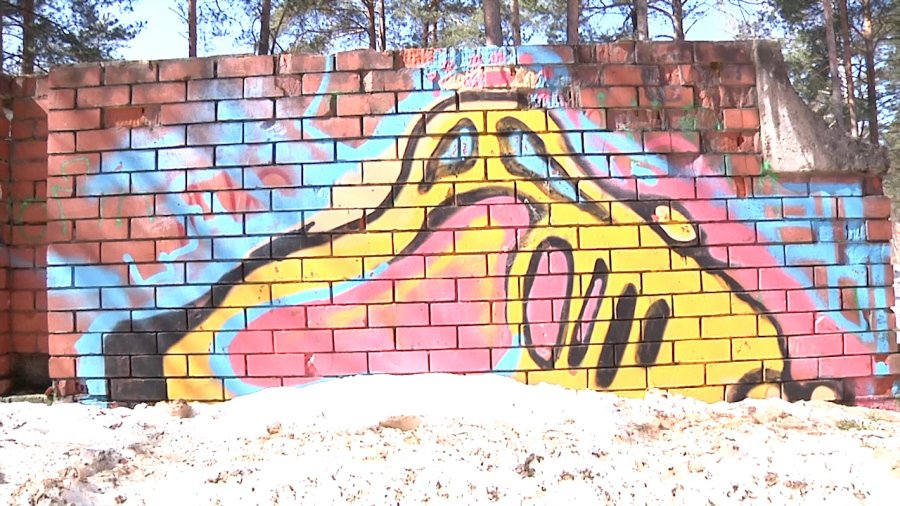 Граффити — искусство или обыкновенное хулиганство? - В Висагинасе