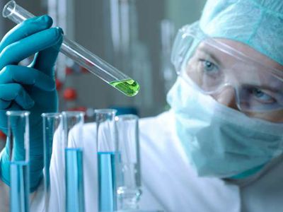 Во Франции подтвержден второй случай заражения новым коронавирусом - В Мире