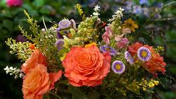 Иосифа Егоровича Александровича поздравляем с 77-летием!