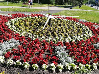 Мастера цветочных композиций (фотогалерея) - В Висагинасе