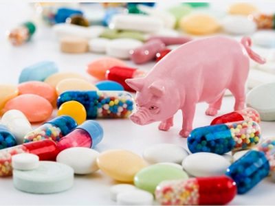 Человечество может вернуться в эру до появления антибиотиков - Наука и здоровье