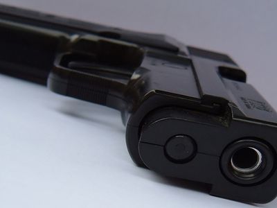 Utenos apskrities policijoje registruoti 2868 mažos galios ginklai - Visagine