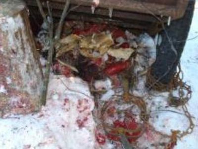 Sustiprinę kontrolę, aplinkosaugininkai išaiškina daugiau gyvūnijos naudojimo pažeidimų - Lietuva ir Baltijos šalys