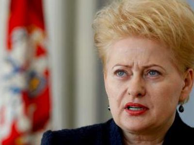 Стоит ли Грибаускайте выдвигать свою кандидатуру на второй срок?
 

 - Литва и страны Балтии