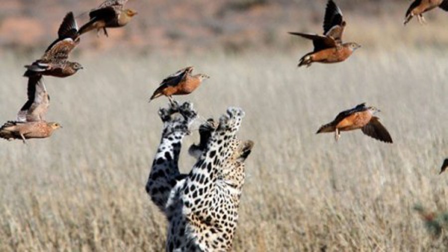 Прогулки на природе заряжают творческой энергией - Хобби, отдых и развлечения