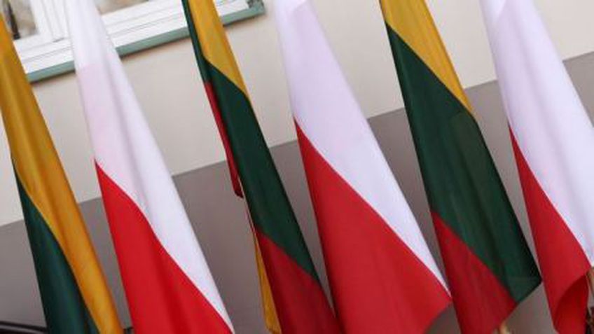 Избирательная акция поляков Литвы грозится покинуть правящую коалицию