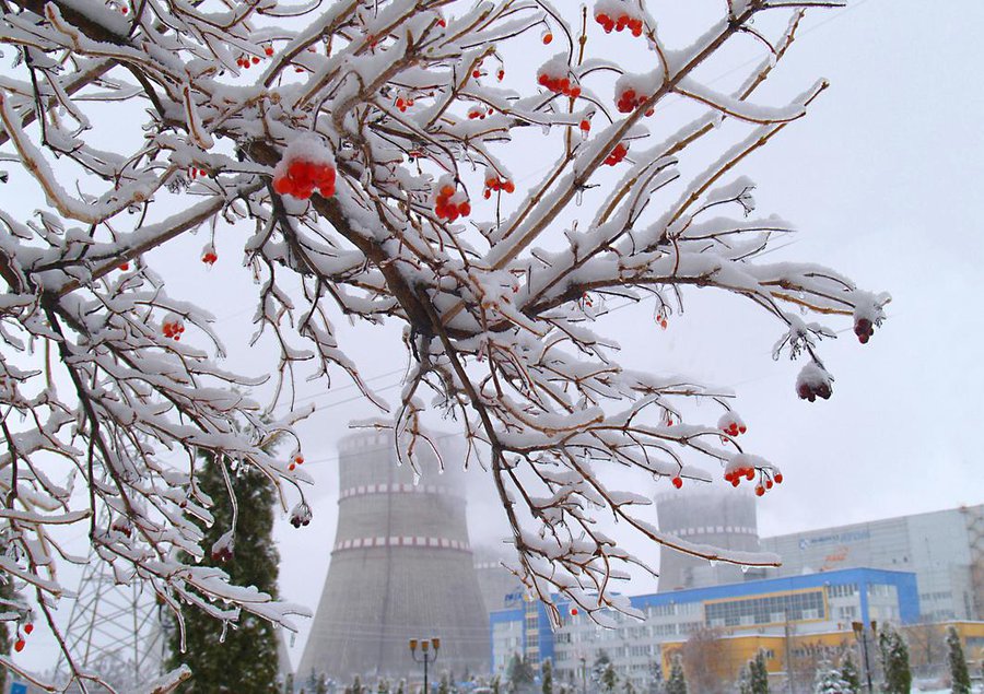 Украина. На Ровенской АЭС отрицают попытку захвата - В Мире