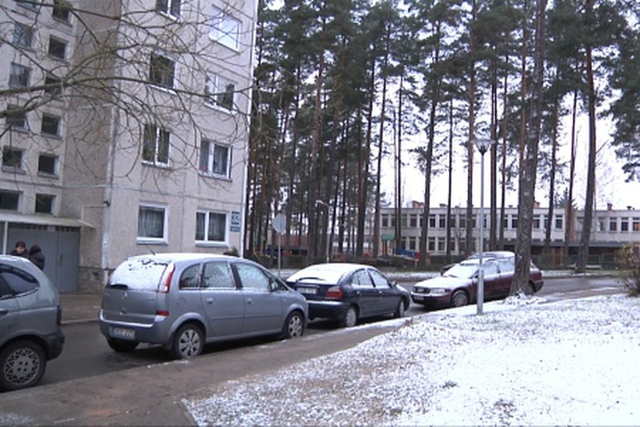 Домовые товарищества: вместе или порознь?                                                                                                 - В Висагинасе