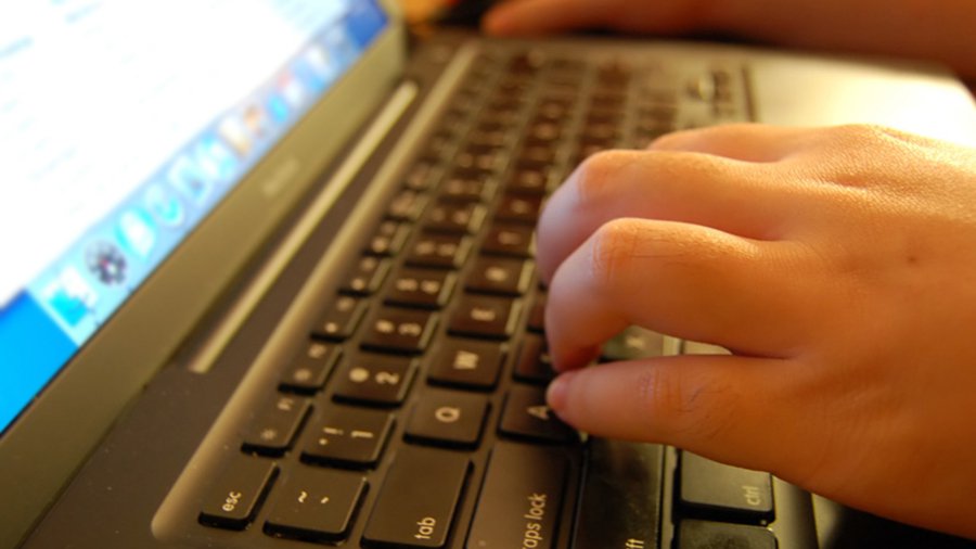 Правящие предлагают узаконить голосование по интернету в Литве - Литва и страны Балтии