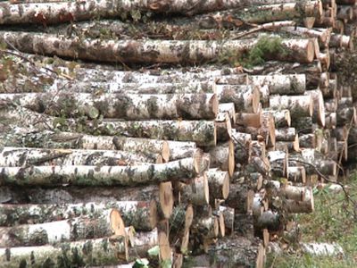 Назад — к дровам, вперед — к «зеленой» энергетике и экономии? - В Висагинасе