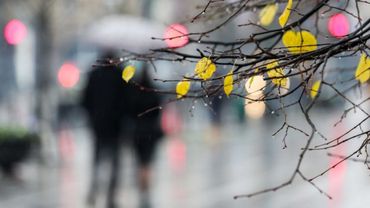 Зима в Литву не спешит: в выходные ожидается дождь