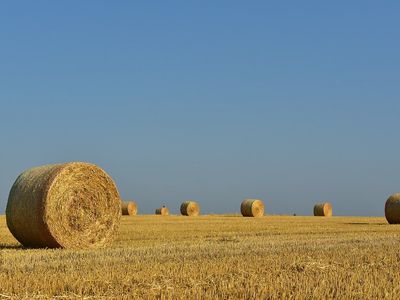 Началась всеобщая сельскохозяйственная перепись - Экономика и бизнес