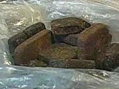 Власти Копенгагена, борясь с криминалом, хотят легализовать наркотики - Хобби, отдых и развлечения