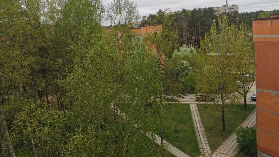 Тепло покинуло Литву: обещают заморозки - Литва и страны Балтии