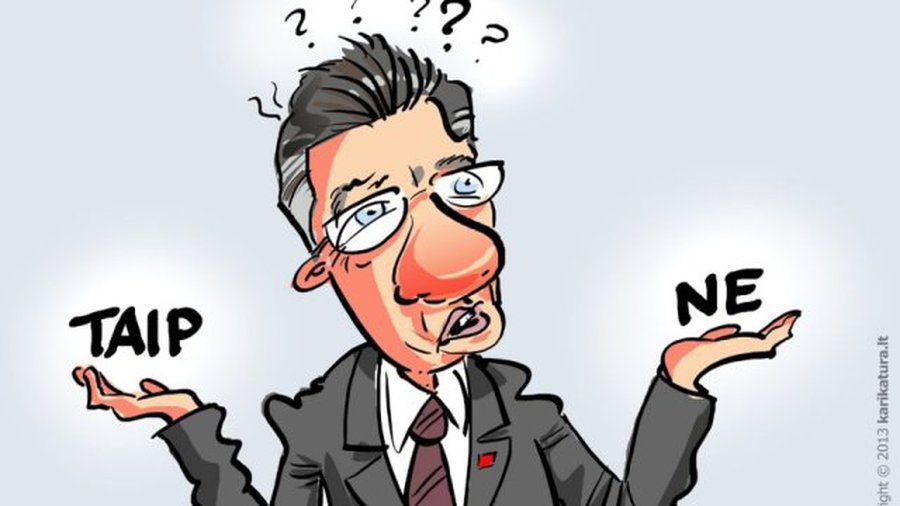 Премьер Литвы: исследование шведских экспертов на принятие решения по АЭС не повлияет - Литва и страны Балтии