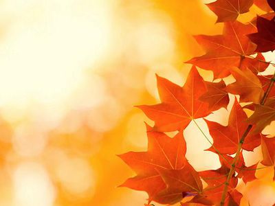 «Все, что было....»                                                                                                                                    - В Висагинасе