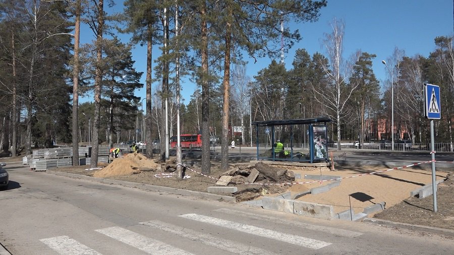 При замене покрытия у автобусной остановке сосны не пострадали (видео) - В Висагинасе