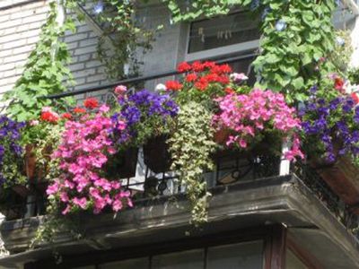 Kviečiame! - Visagine