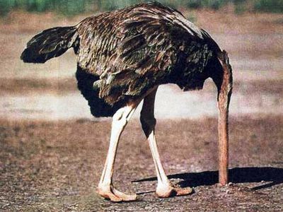 Литовские политики считают, что закрытие Игналинской АЭС — ошибка - Энергетика