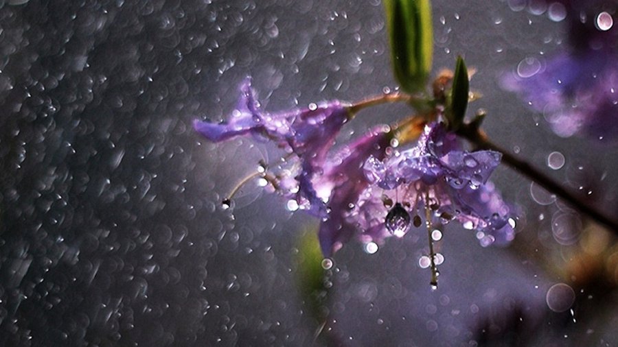 Прогноз: Литву ожидает неприятная погода - Литва и страны Балтии