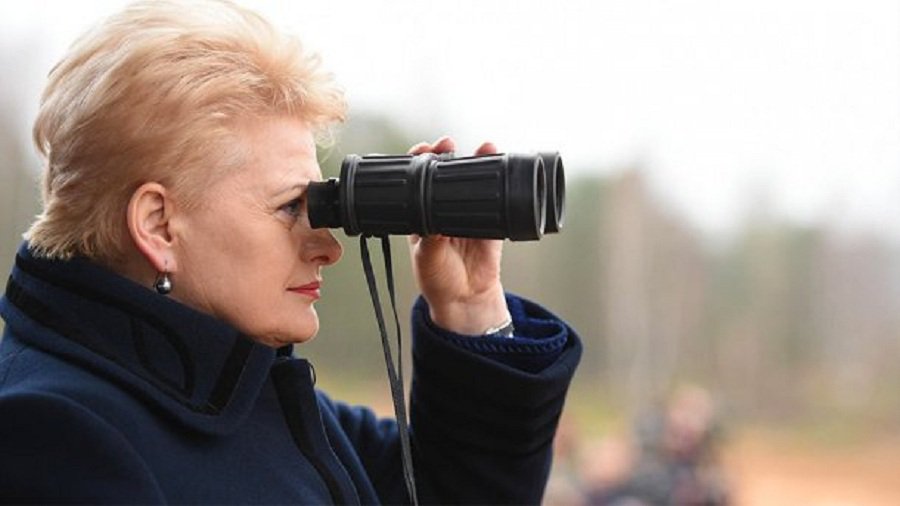 Д. Грибаускайте согласна с призывом Д. Трампа увеличивать расходы на оборону - Литва и страны Балтии