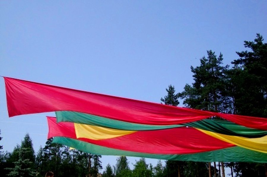 Мероприятия ко Дню  государственности в Висагинасе - В Висагинасе