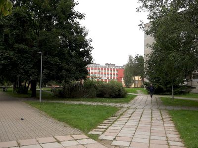 Интервью с мэром - об ул. Тарибу и новых тарифах "Висагино бустас" (видео) - В Висагинасе