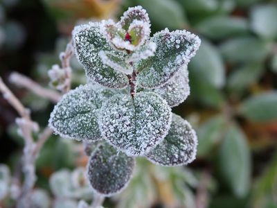 Циклон из Литвы пока не уходит: погода будет неприятной - Литва и страны Балтии