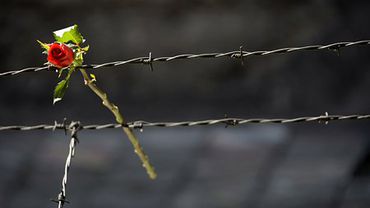 В Литве прошли траурные мероприятия, приуроченные к 70-летию Холокоста


                                