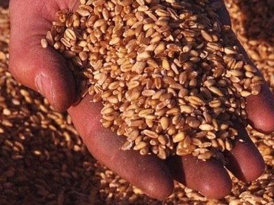 Грузия ожидает пшеницу из Литвы - В Мире