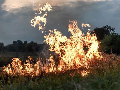 Статистика пожаров в Литве и в Висагинасе за I квартал 2025 года - В Висагинасе