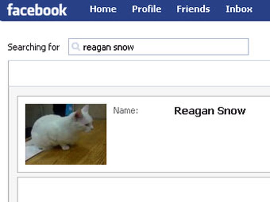 Последний полицейский кот Лондона вышел на пенсию - Хобби, отдых и развлечения