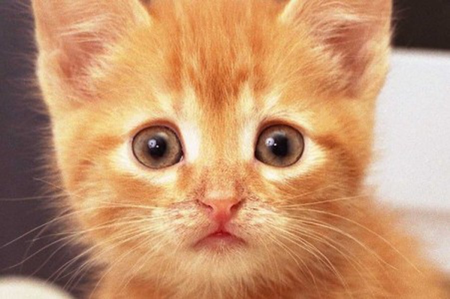 Помоги мне... - В Висагинасе