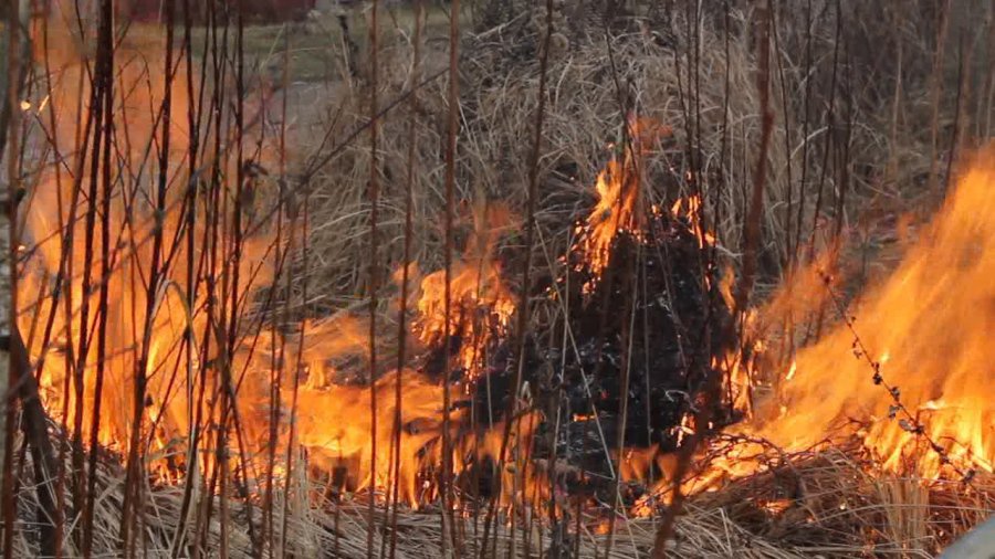 Горящая трава – опасность!