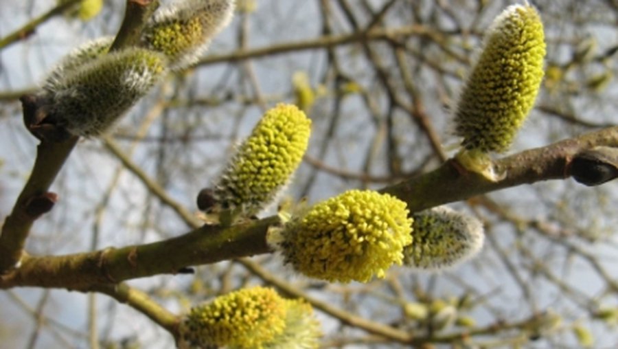 Orai: termometro stulpelis šoktels iki 20 laipsnių - Lietuva ir Baltijos šalys